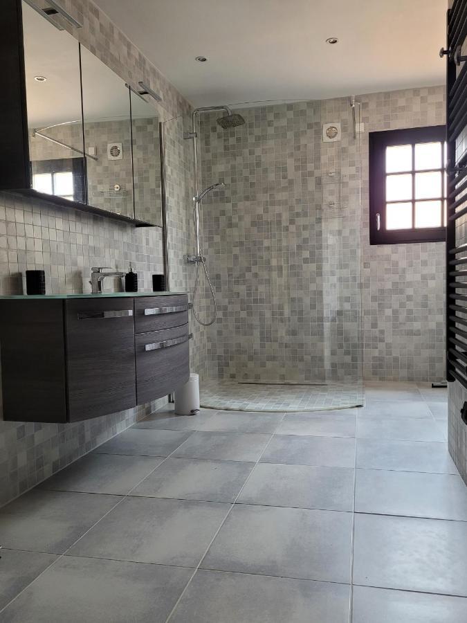 Villa Rene Saint-Génis المظهر الخارجي الصورة